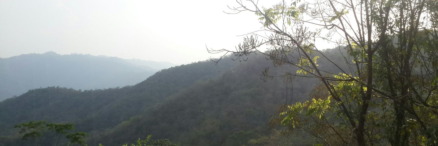 lflowerpriya's profile banner image
