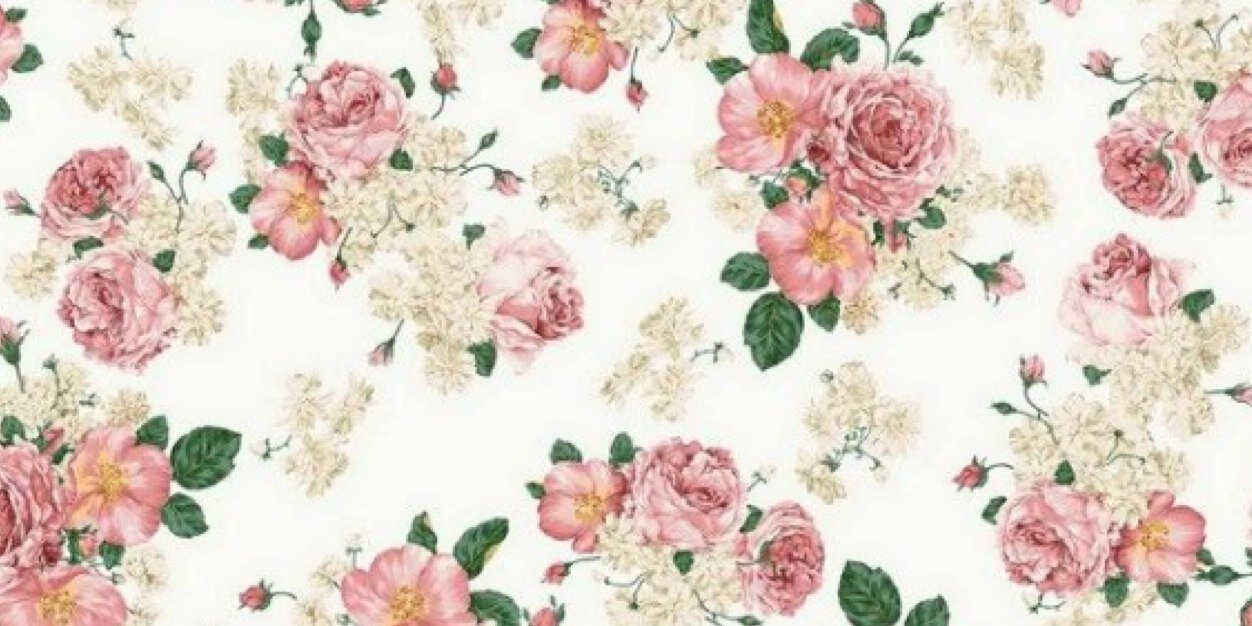 shaelynntashiro's profile banner image