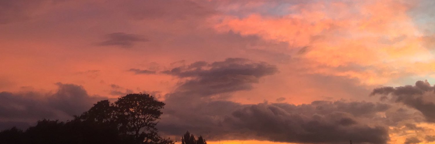 raraannisac's profile banner image
