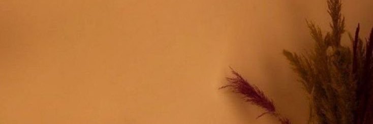 sisifemi_'s profile banner image