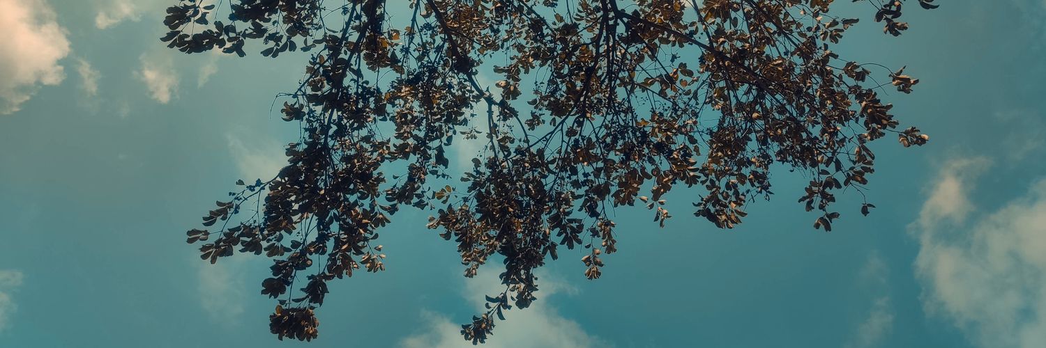 nkmvt_'s profile banner image