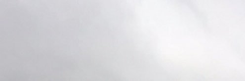 lwilcox_'s profile banner image