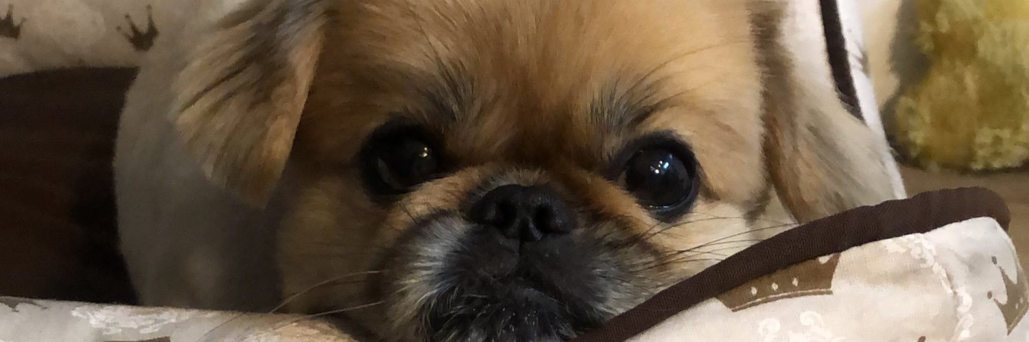ThaMaBassi's profile banner image