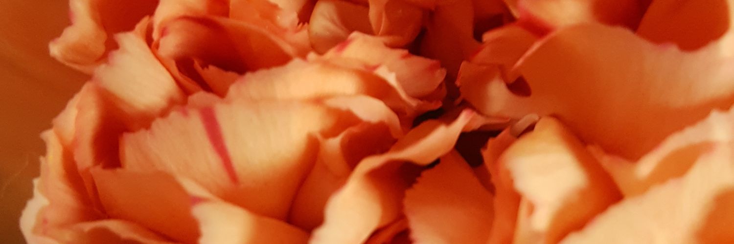 TD_794's profile banner image