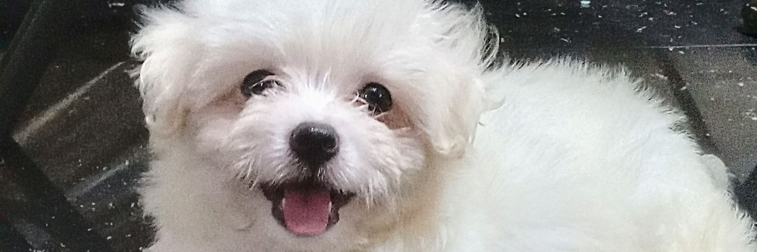 imainekaye's profile banner image