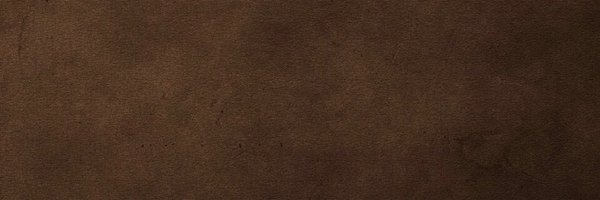 BS_dim Profile Banner