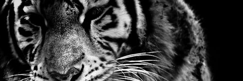 anthonyjones101's profile banner image