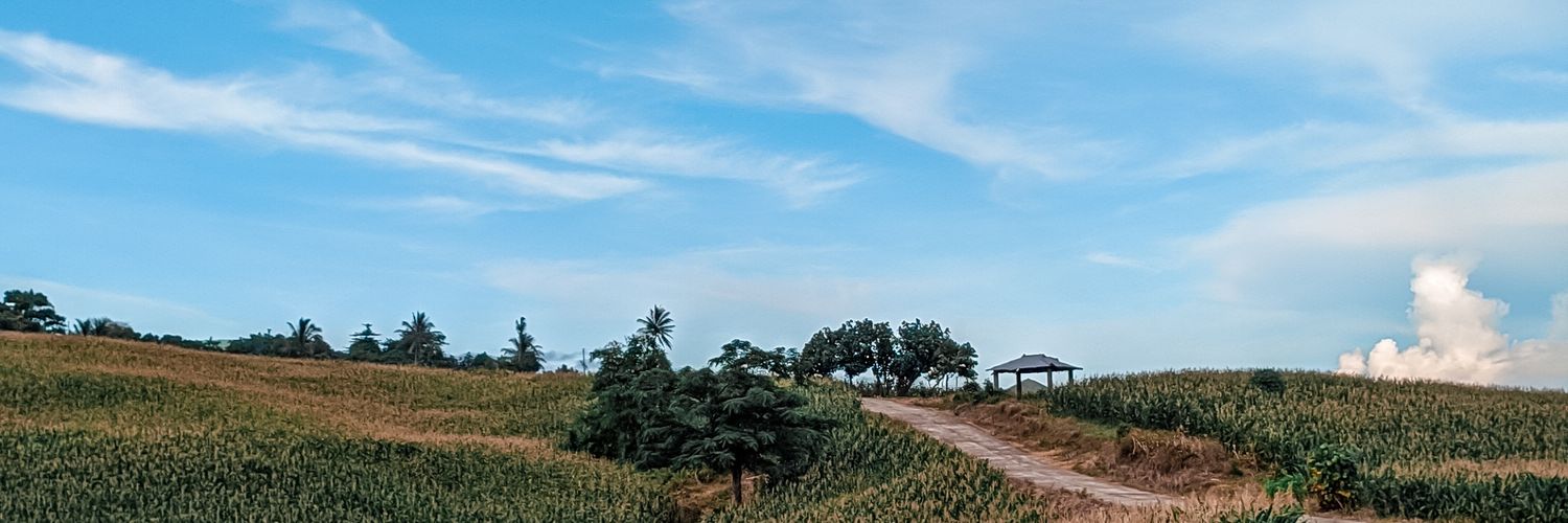 donn_emil's profile banner image