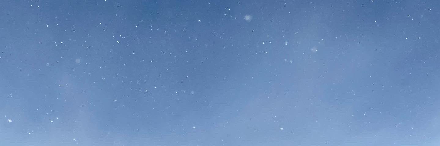 sarahbures's profile banner image