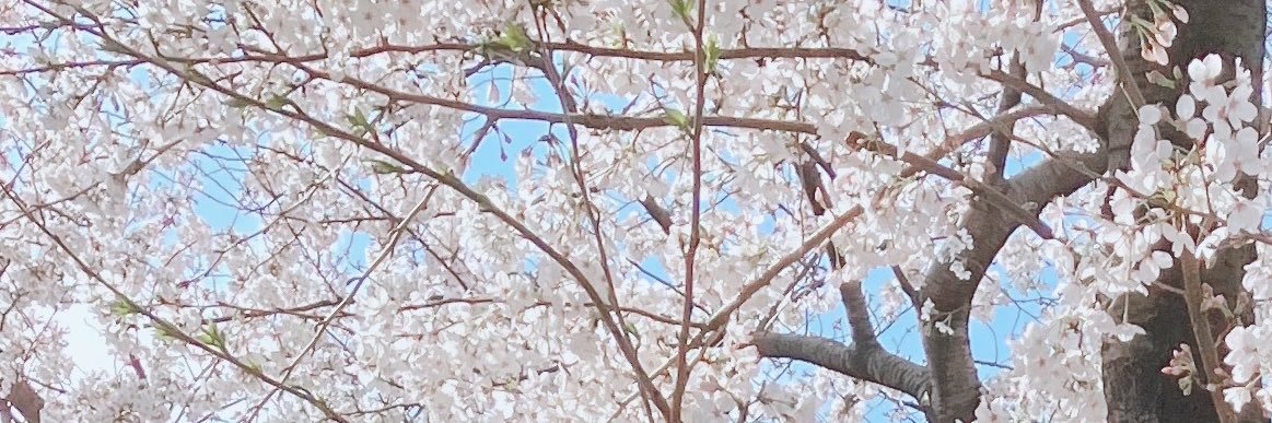 kashikado's profile banner image