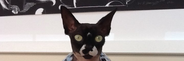 BMAshton's profile banner image