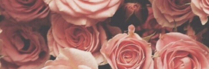xxgulluoglu's profile banner image
