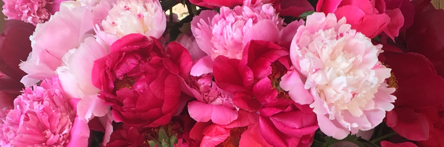 marylinontwit's profile banner image