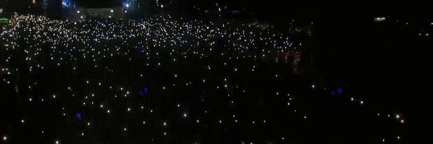 벌꿀오소리 banner