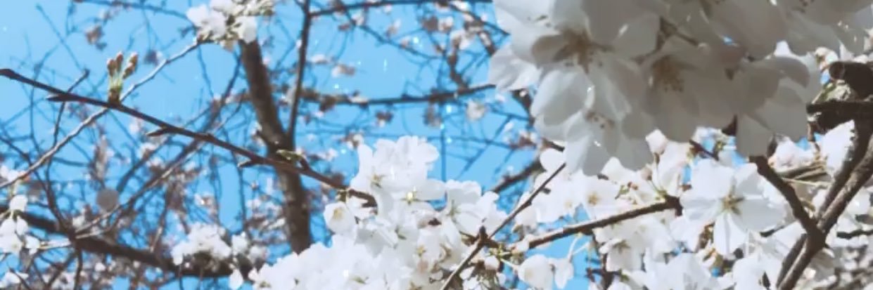 heathergracee13's profile banner image
