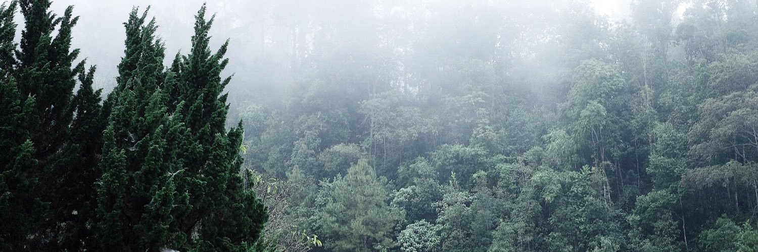 3rd__llsJ's profile banner image