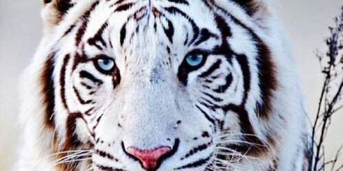 AnneWever's profile banner image
