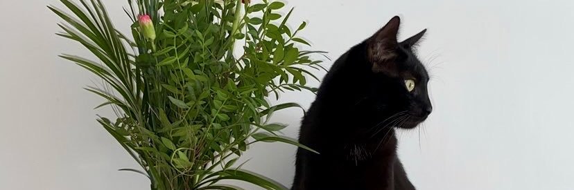 le_onyy's profile banner image