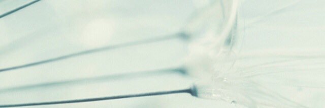 CelineVanille's profile banner image