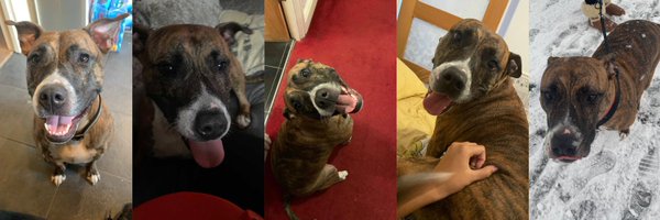 erxlb_ Profile Banner