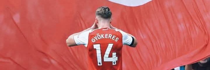 Chibobby Wilson banner