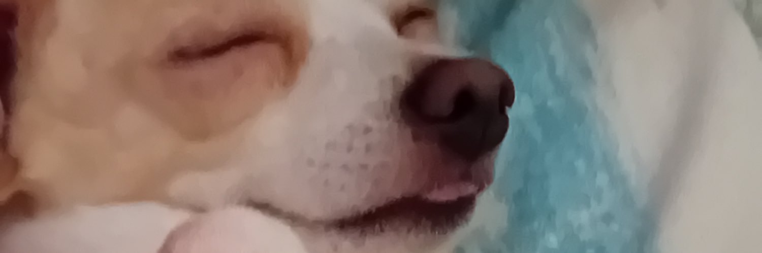 pisu_davide's profile banner image