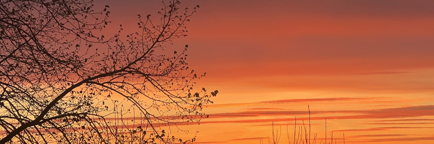 BrianMcQ17's profile banner image