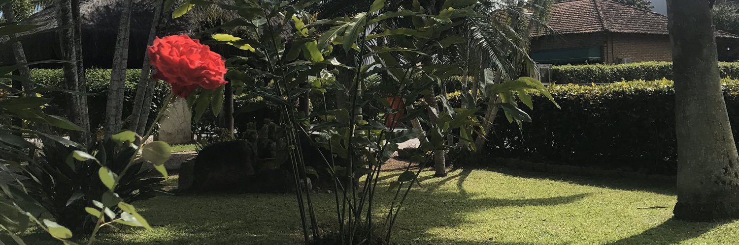 fernanda0310's profile banner image