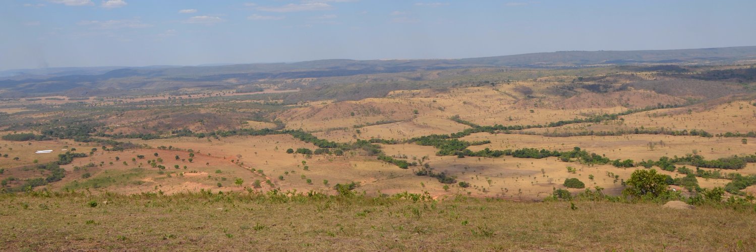 aldimarnunes's profile banner image