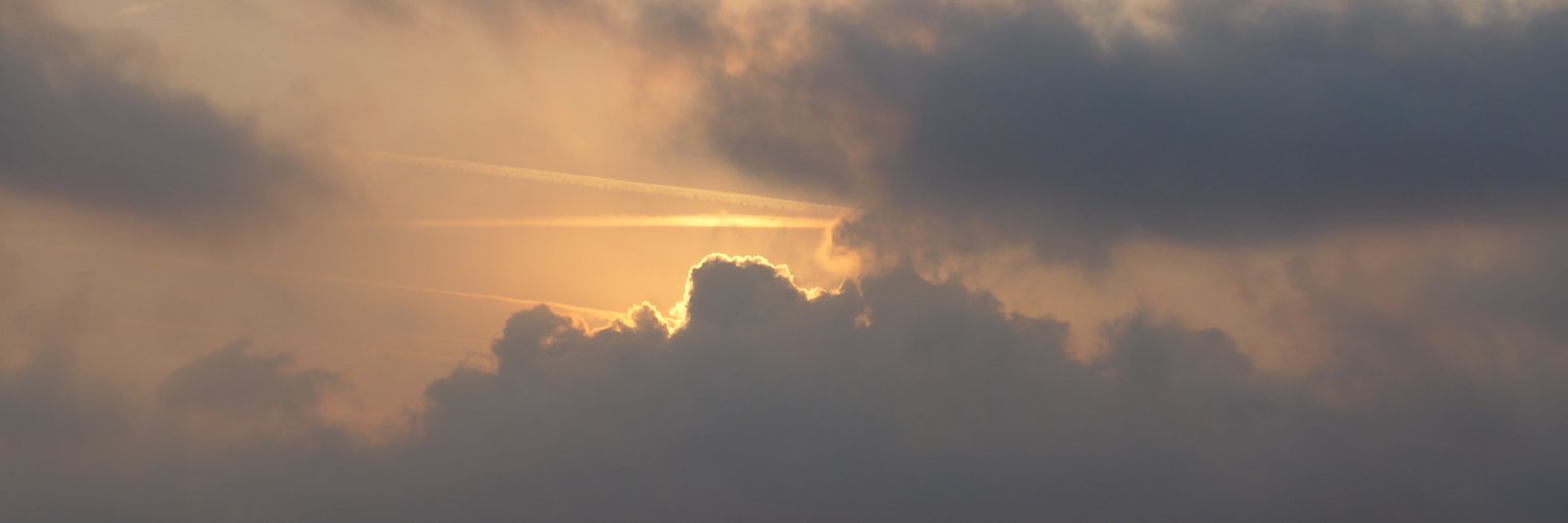 Nancy Prendergast banner