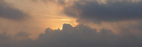 NancyJPM Profile Banner