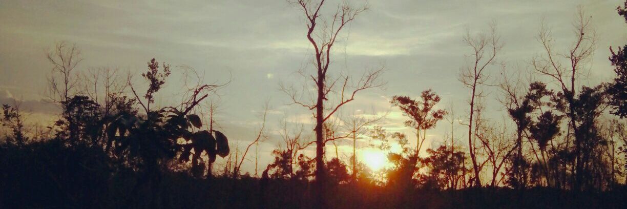 Oscar_Adk's profile banner image