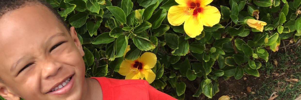 DeidreAlexan's profile banner image