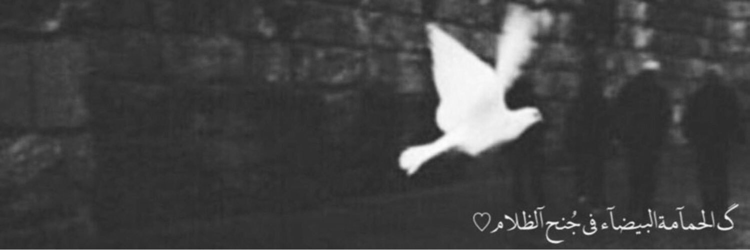 thbot1's profile banner image
