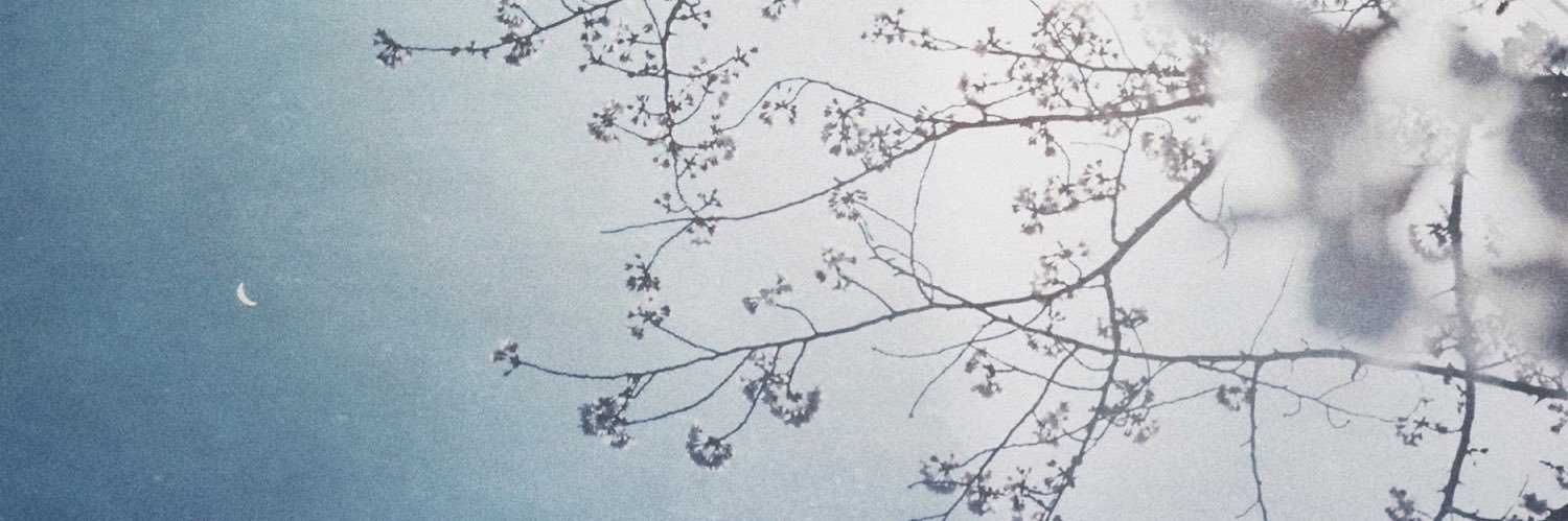 naocan8's profile banner image