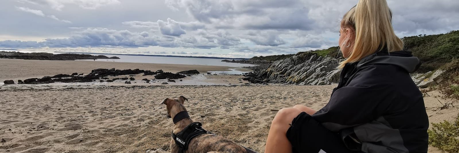 Sam Broadbent banner