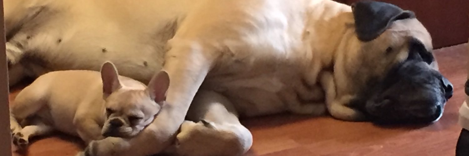 daasher03's profile banner image