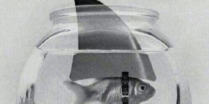 Frarasmu1's profile banner image