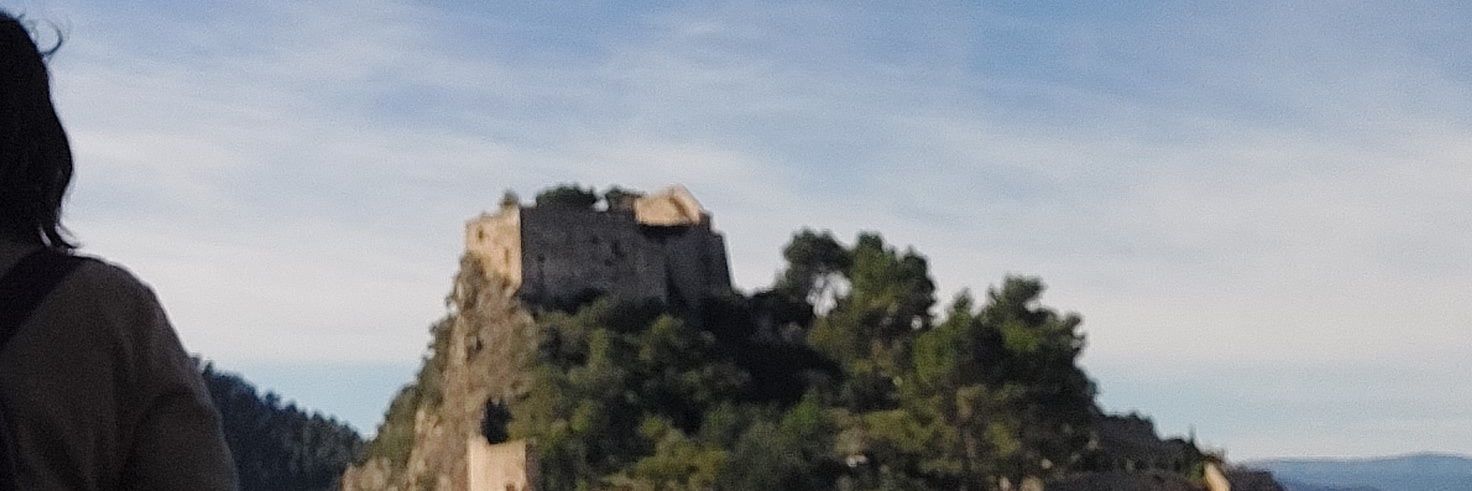 celiadaniele's profile banner image