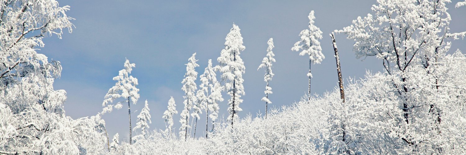 John Geoffrey banner