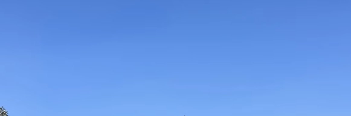 shinshin banner