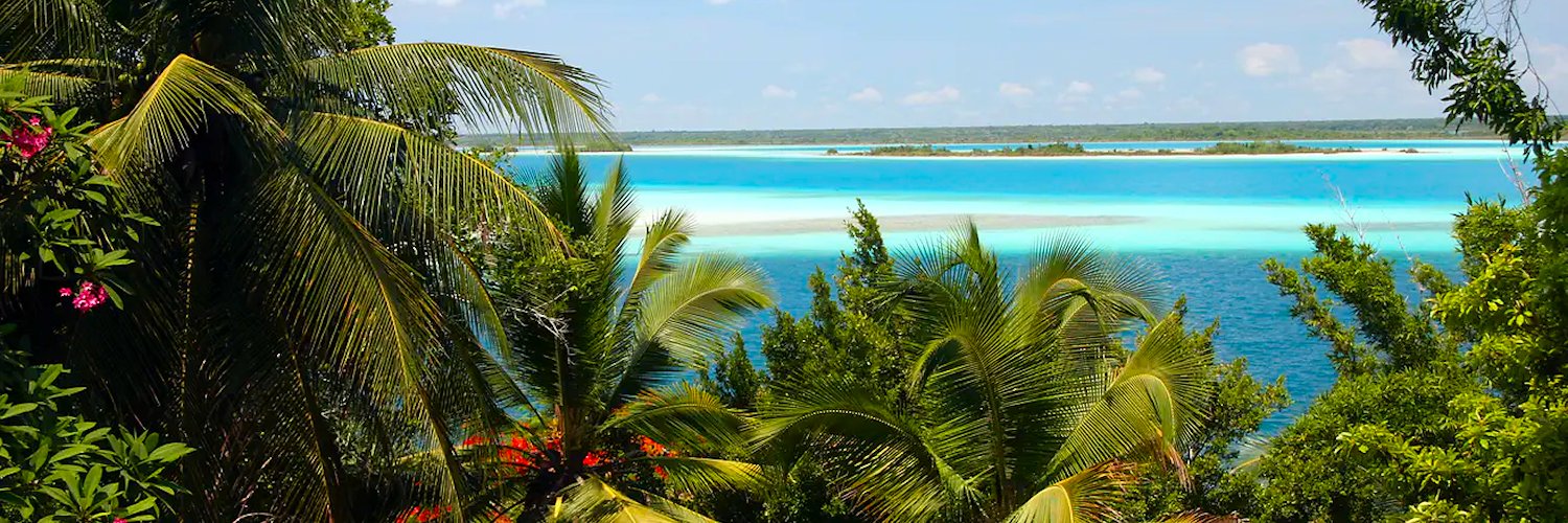 Unwrapped Sweets banner