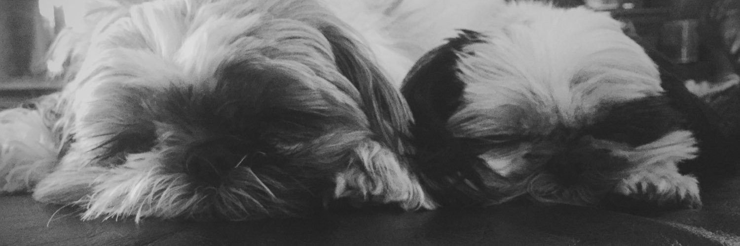 hilarying's profile banner image
