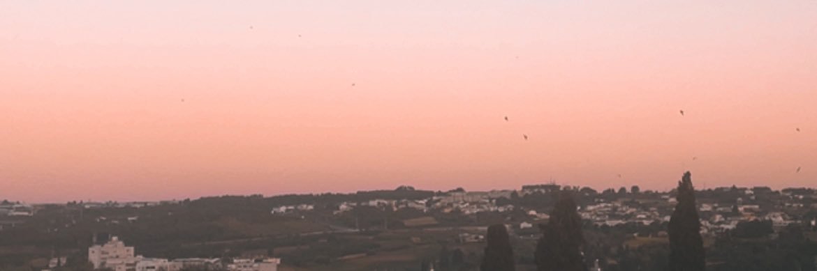 manobruno98's profile banner image