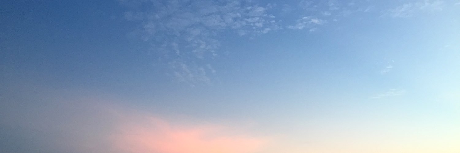 celinenky's profile banner image