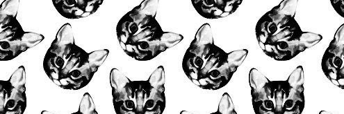 JamieSachs89's profile banner image