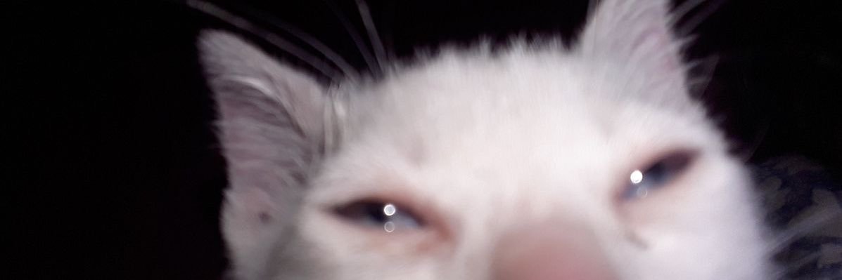 dolunaeee's profile banner image