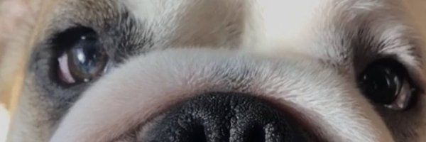 kaneyboyy Profile Banner