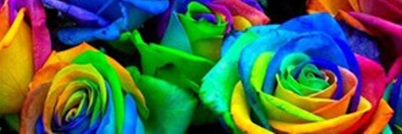 DraQueta's profile banner image
