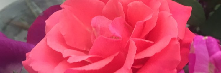max36026's profile banner image